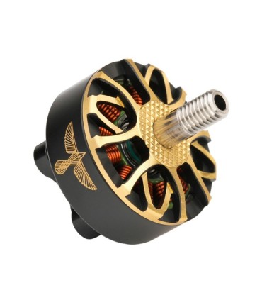 Moteur T-MOTOR BLACKBIRD EDITION V2 - 1950KV