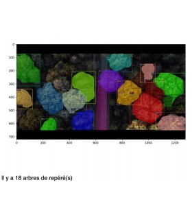 Software de contagem de árvores