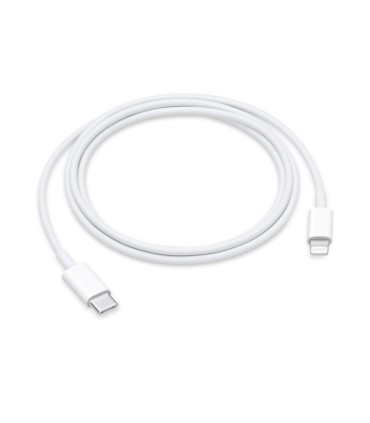 Fulmine a USB tipo C cavo per Apple